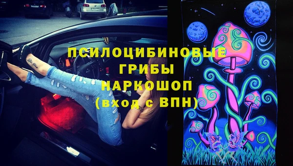 PSILOCYBIN Алексин