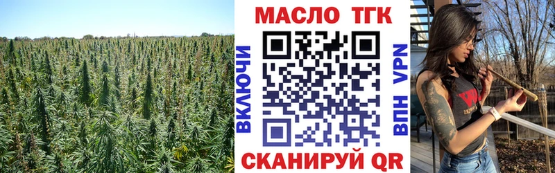 MEGA как войти  хочу   Могоча  Дистиллят ТГК концентрат 