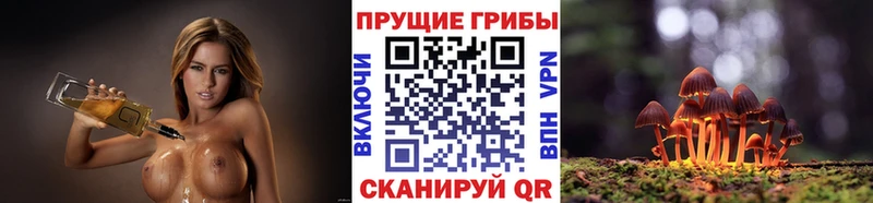 наркота Могоча Псилоцибиновые грибы MAGIC MUSHROOMS
